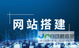 搭建专业的网络平台：net网站建设
