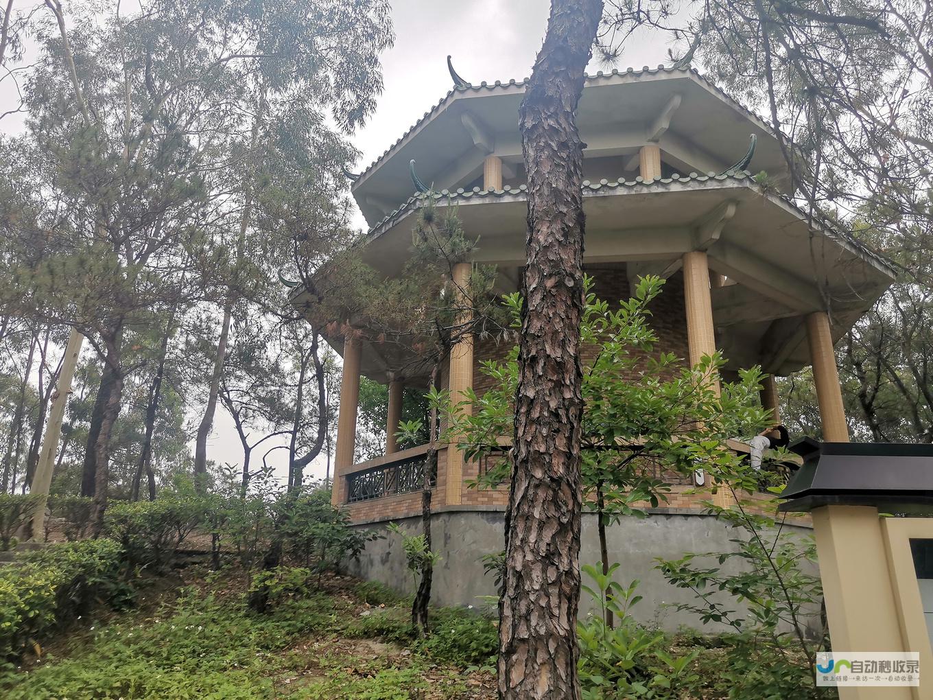 东莞寮步网站设计：打造您在寮步市场的线上形象